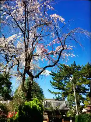 玄国寺(東京都)