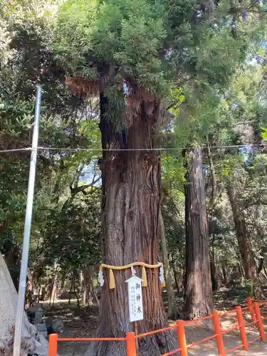 息栖神社の自然