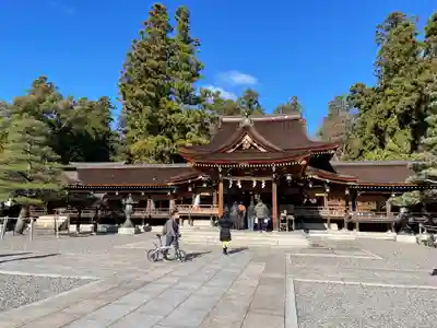 多賀大社の本殿・本堂