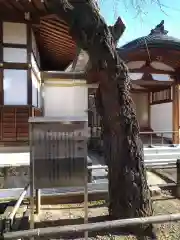 温泉寺(長野県)