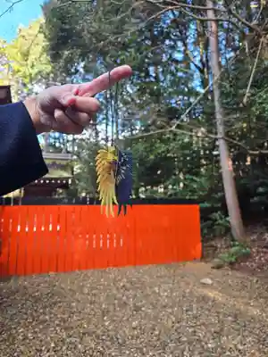 御蔭神社(京都府)