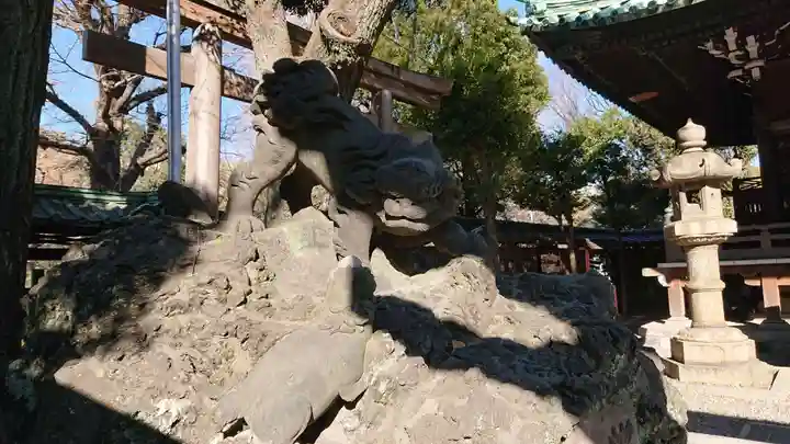 牛嶋神社の狛犬