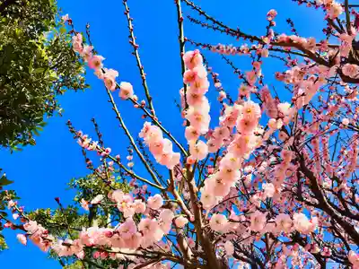 結城神社(三重県)
