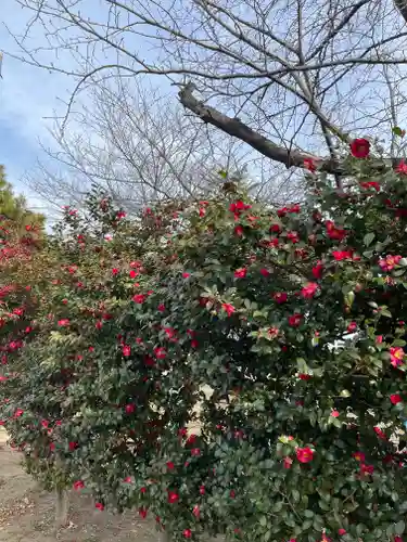徳川東照宮(群馬県)