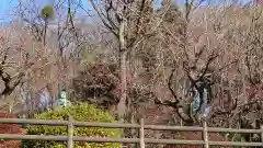 日蓮宗　宏善寺(東京都)