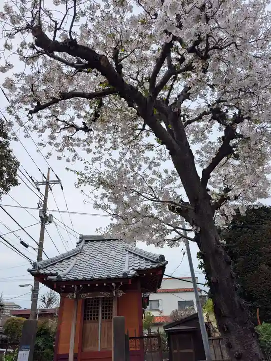 諏訪神社(東京都)