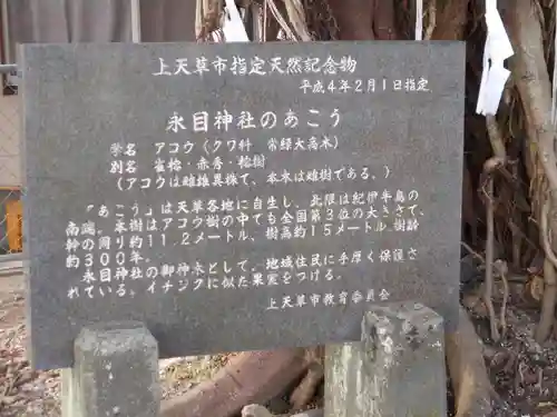 永目神社(熊本県)