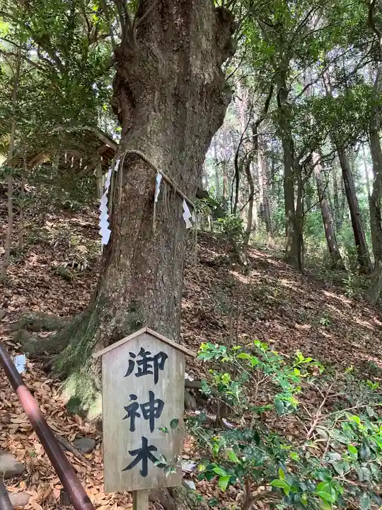 白鬚神社(埼玉県)