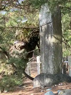 羽車神社(静岡県)