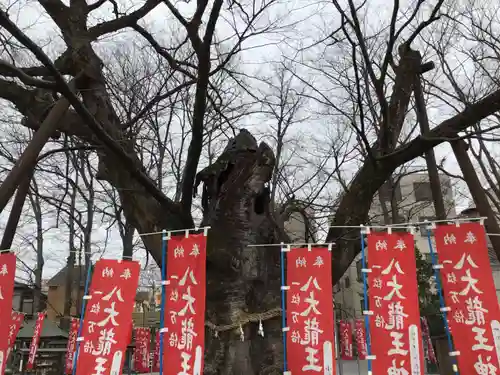 秩父今宮神社の自然