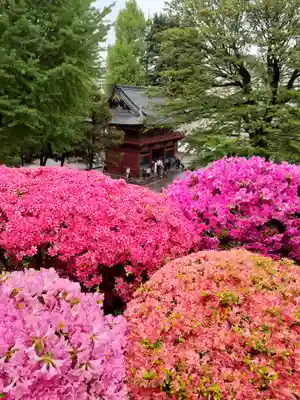根津神社の山門・神門
