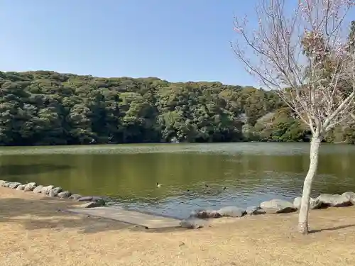 桜ヶ池池宮神社(静岡県)
