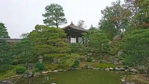 仁和寺の庭園