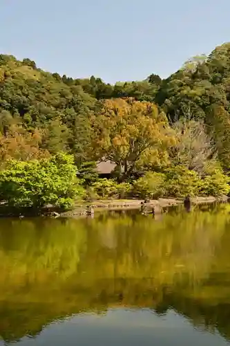 白水阿弥陀堂の庭園