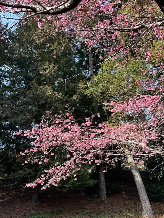 八幡神社(神奈川県)