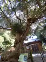 大久保神社の自然