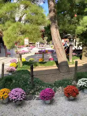 笠間稲荷神社(茨城県)