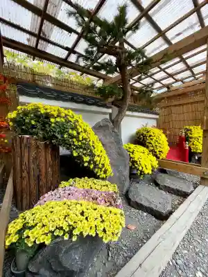 牛天神北野神社(東京都)