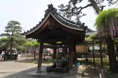 葛井寺(大阪府)