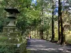 箱根神社の建物その他