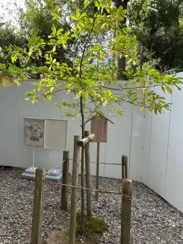 猿田彦神社(三重県)