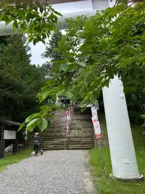 土津神社｜こどもと出世の神さま(福島県)