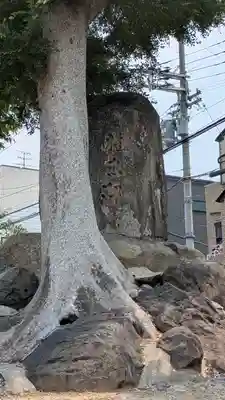 野里住吉神社(大阪府)