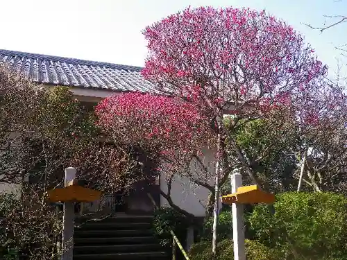 宝戒寺の庭園