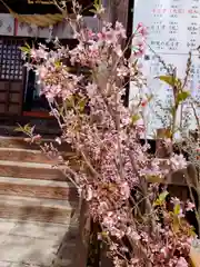 阿邪訶根神社(福島県)