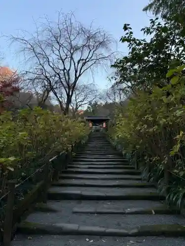 明月院の{uncategorized: "未分類", other: "その他", undefined: "問題あり", building: "その他建物", grave: "お墓", sacred_gate: "鳥居", guardian: "狛犬", statue: "像", buddha: "仏像", history: "歴史", nature: "自然", garden: "庭園", animal: "動物", pagoda: "塔", temizu: "手水舎", mountain_gate: "山門・神門", sanctuary: "本殿・本堂", subordinate: "末社・摂社", art: "芸術", scenery: "景色", jizo: "地蔵", ema: "絵馬", goshuin: "御朱印", omikuji: "おみくじ", items: "授与品その他", amulet: "お守り", goshuincho: "御朱印帳", eats: "食事", festival: "お祭り", votive_dance: "神楽", shichigosan: "七五三参", wedding: "結婚式", experience: "体験その他", initially: "初詣", around: "周辺", anti_infection: "感染症対策"}