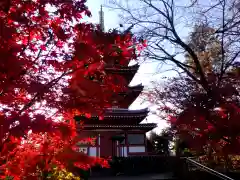 本土寺の塔