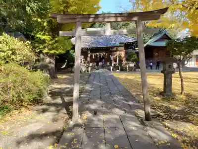 平塚神社の鳥居