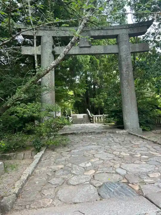 櫻井神社の{uncategorized: "未分類", other: "その他", undefined: "問題あり", building: "その他建物", grave: "お墓", sacred_gate: "鳥居", guardian: "狛犬", statue: "像", buddha: "仏像", history: "歴史", nature: "自然", garden: "庭園", animal: "動物", pagoda: "塔", temizu: "手水舎", mountain_gate: "山門・神門", sanctuary: "本殿・本堂", subordinate: "末社・摂社", art: "芸術", scenery: "景色", jizo: "地蔵", ema: "絵馬", goshuin: "御朱印", omikuji: "おみくじ", items: "授与品その他", amulet: "お守り", goshuincho: "御朱印帳", eats: "食事", festival: "お祭り", votive_dance: "神楽", shichigosan: "七五三参", wedding: "結婚式", experience: "体験その他", initially: "初詣", around: "周辺", anti_infection: "感染症対策"}