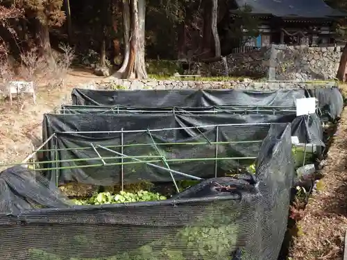 大滝神社(山梨県)