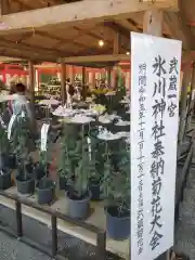 武蔵一宮氷川神社(埼玉県)