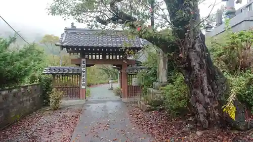 懸腰寺の山門・神門