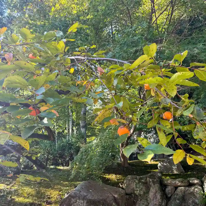 伊勢の国 四天王寺(三重県)