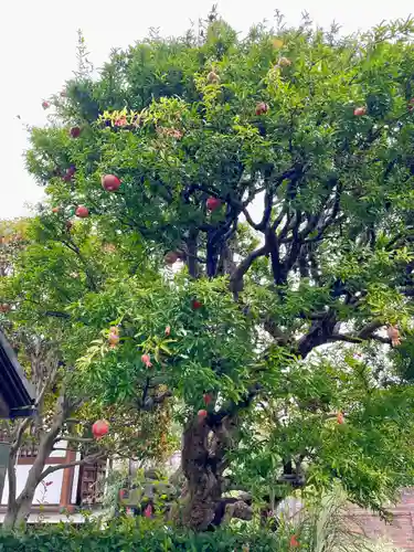 明王院(東京都)