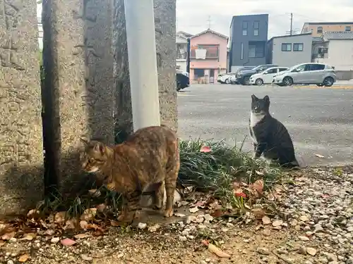 大依羅神社(大阪府)