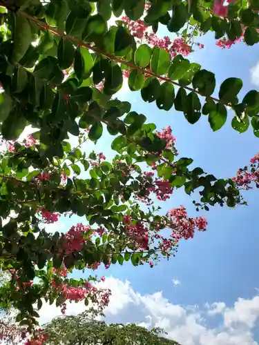 長泉寺(福島県)