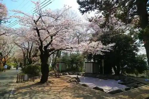 龍峰寺の庭園