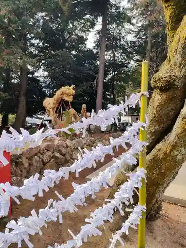 手力雄神社のおみくじ