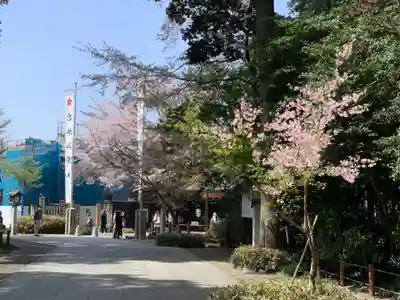 櫻木神社のその他建物