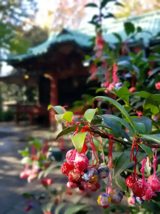 赤坂氷川神社(東京都)