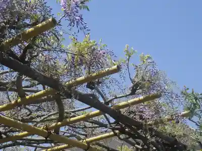 教恩寺のその他建物