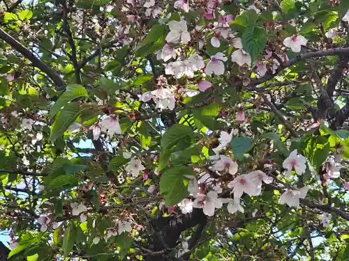 元町厳島神社(神奈川県)