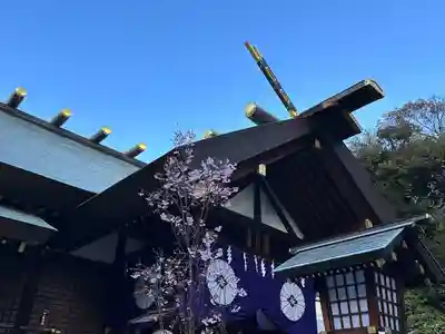 東京大神宮(東京都)