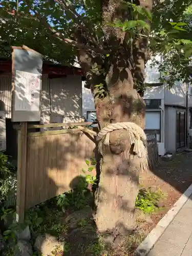 小室浅間神社(山梨県)