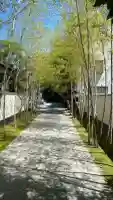 圓應寺の{uncategorized: "未分類", other: "その他", undefined: "問題あり", building: "その他建物", grave: "お墓", sacred_gate: "鳥居", guardian: "狛犬", statue: "像", buddha: "仏像", history: "歴史", nature: "自然", garden: "庭園", animal: "動物", pagoda: "塔", temizu: "手水舎", mountain_gate: "山門・神門", sanctuary: "本殿・本堂", subordinate: "末社・摂社", art: "芸術", scenery: "景色", jizo: "地蔵", ema: "絵馬", goshuin: "御朱印", omikuji: "おみくじ", items: "授与品その他", amulet: "お守り", goshuincho: "御朱印帳", eats: "食事", festival: "お祭り", votive_dance: "神楽", shichigosan: "七五三参", wedding: "結婚式", experience: "体験その他", initially: "初詣", around: "周辺", anti_infection: "感染症対策"}
