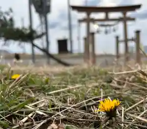 🌸乙部八幡神社(北海道)(2024年01月04日(木) 14時33分01秒投稿)
